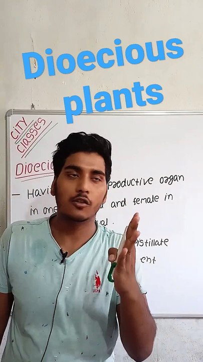 Dioecious plants | Dioecious plants in Hindi | Dioecious plants biology | what is Dioecious plants #cityclasses