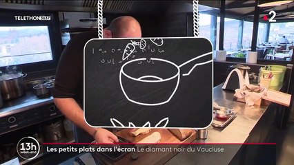 Vaucluse : la truffe noire, un régal pour gourmets et chefs