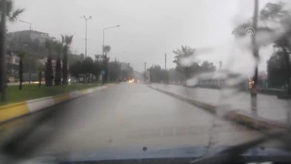 Şiddetli rüzgar ağacın devrilmesine neden oldu