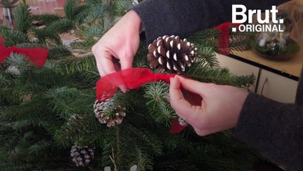 Tuto : Comment choisir son sapin de Noël