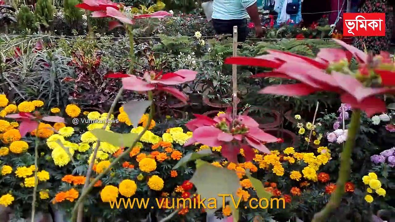 Flower Fair _ Flower Festival