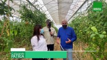 Cultivando Patria | Conociendo más de la Empresa Integral de Producción Agraria Socialista Valle de  QUÍBOR