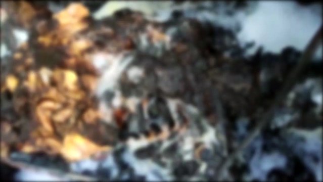 Corpo é encontrado carbonizado dentro de veículo incendiado na BR-277