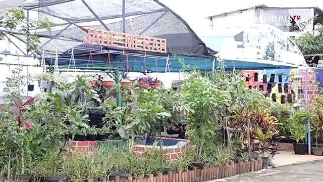 Keren!! Kampung Jahe Merah, Inisiasi Kelompok Wanita Tani Mulyorejo