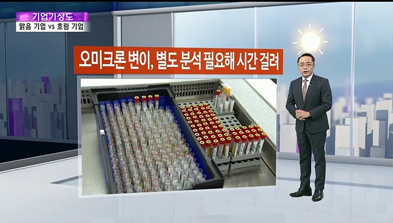 [기업기상도] 기회 잡아 해 뜬 기업 vs 바람 불고 흐린 기업