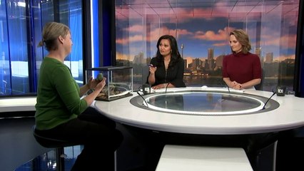 Researchers discover two new species of frog