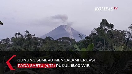 Sejumlah Fakta Erupsi Gunung Semeru: Puluhan Orang Luka Bakar, Listrik Padam, Jembatan Utama Putus