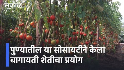 Pune l पुण्यातील या सोसायटीने केला बागायती शेतीचा प्रयोग, पहा विडिओ l Sakal