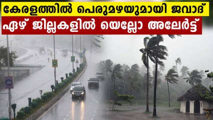 Kerala Rains: Yellow alert declared in 7 districts | Oneindia Malayalam