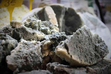 Organik yeşillenen vazgeçilmez lezzet: "Küflü peynir"