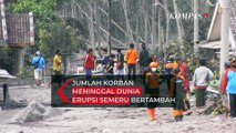 Erupsi Gunung Semeru: Jumlah Korban Jiwa Bertambah Menjadi 14 Orang