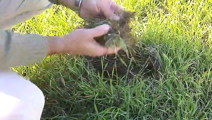 La agricultura de conservación como solución para frenar la desertificación y la erosión del suelo