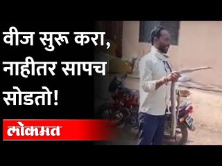 वीज पुरवठा सुरळीत न केल्यास महावितरणच्या कार्यालयात साप सोडणार, शेतकऱ्याने साप हातात घेऊन दिला ईशारा