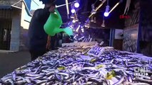 Karadeniz'de boy sınırı altında hamsi avı tehlikesi