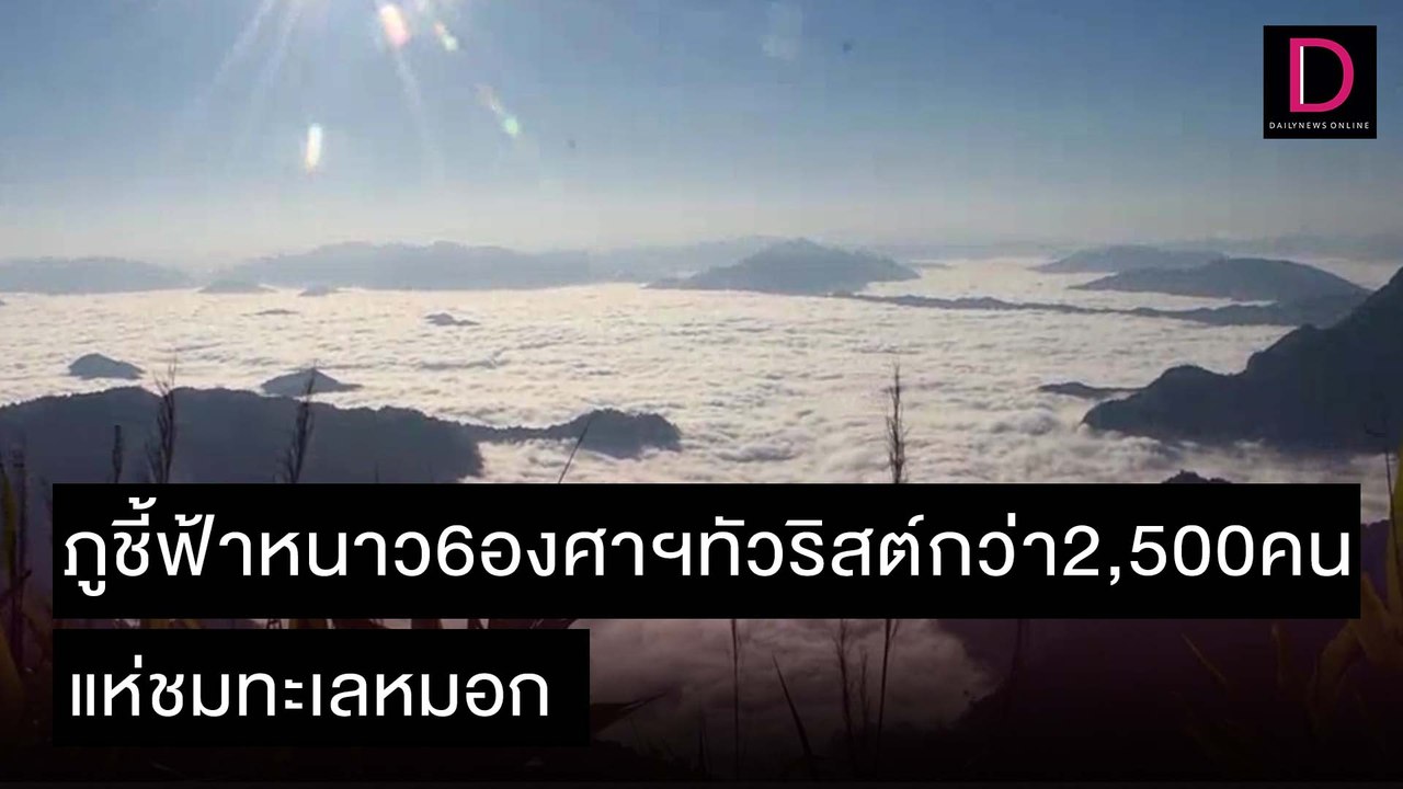 ภูชี้ฟ้าหนาว6องศาฯทัวริสต์กว่า2,500คน แห่ชมทะเลหมอก |ชนคลิปข่าว 05/12/64 เดลินิวส์