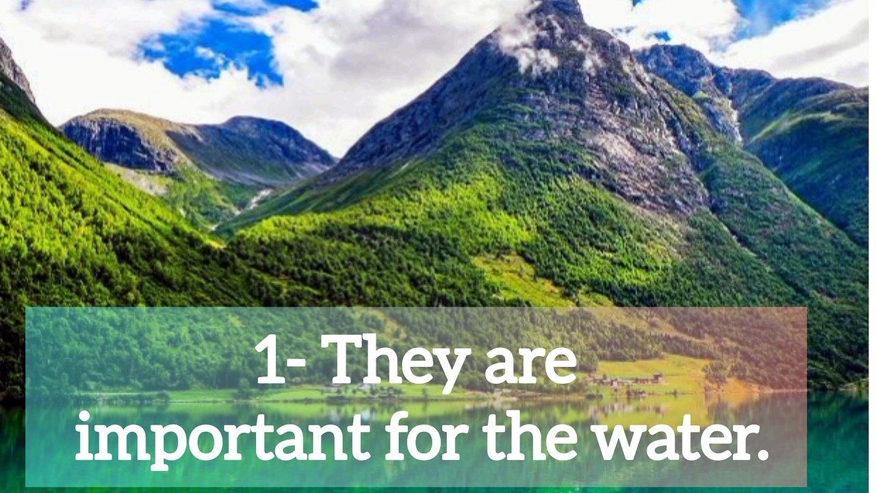 Why mountains are so important.