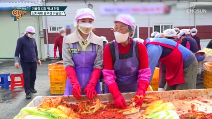 ※미션※ 1500포기를 김장하라↗ 김치에 숨겨진 비밀!! TV CHOSUN 20211205 방송