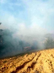 Son dakika 3. sayfa: Osmaniye'deki orman yangını büyümeden söndürüldü