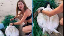 L'ex-mannequin Gisele Bündchen sauve une tortue de mer échouée