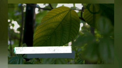 badrakalibund in warangal,Hanamkonda #telangana || Tankbund in warangal