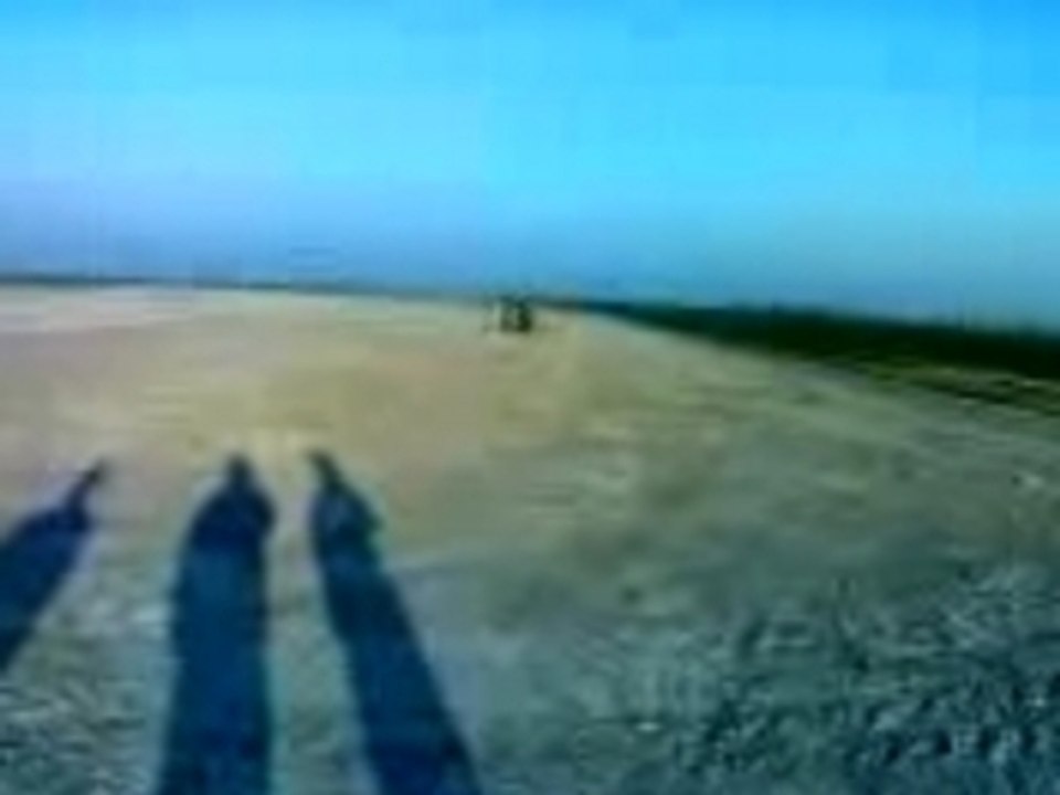 Buggy 3
