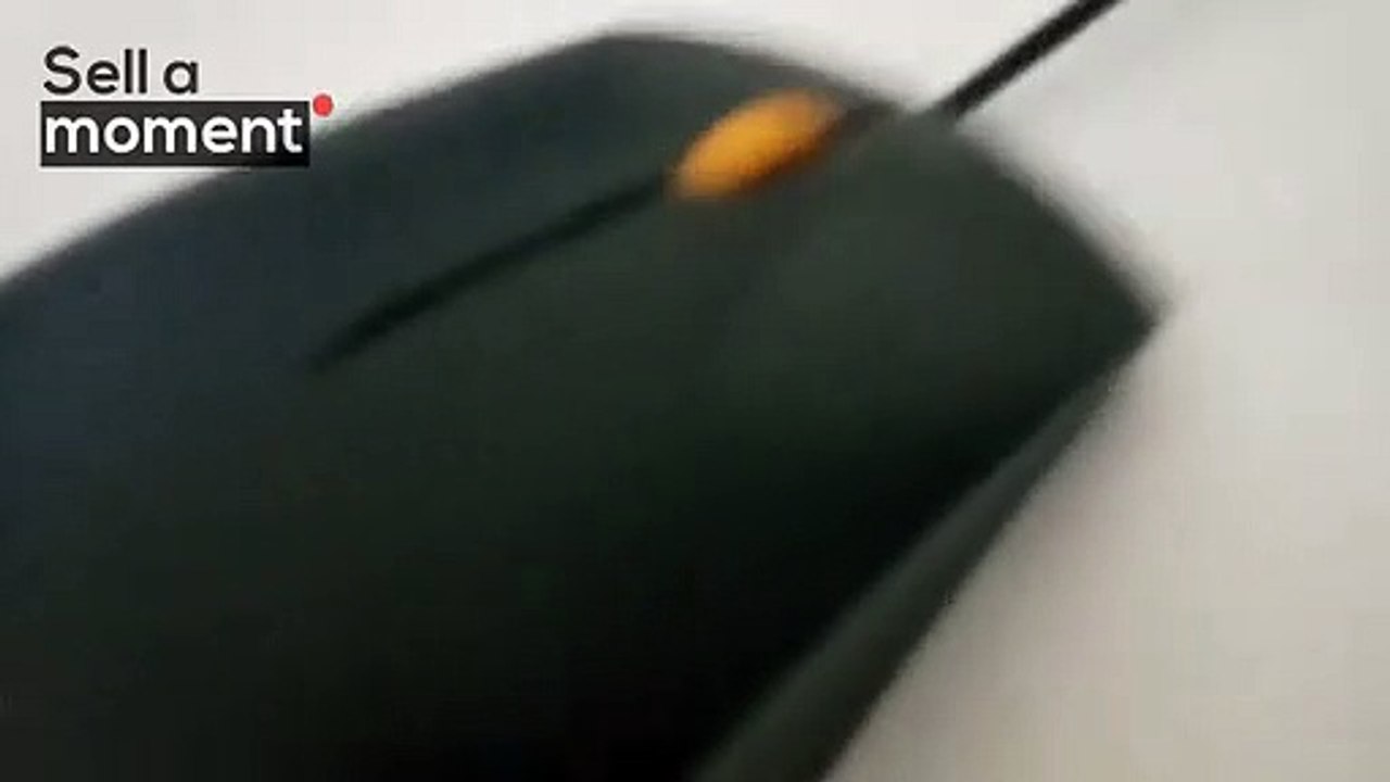 A mouse closeup