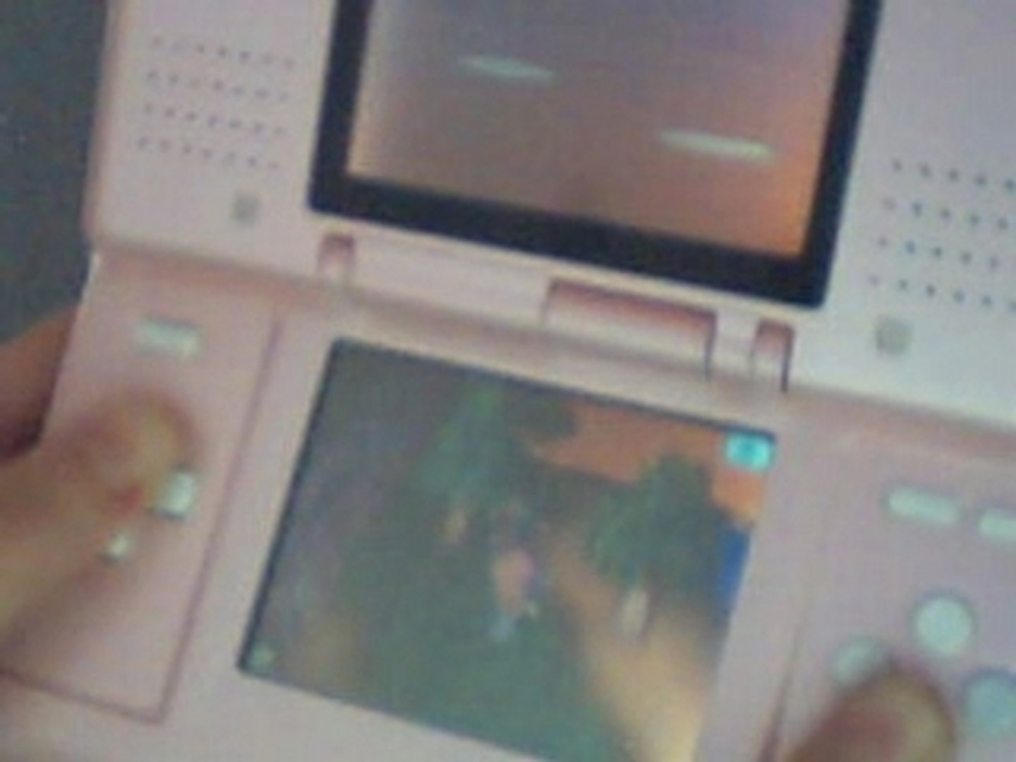 ⁣Balade Animal Crossing en Irène et moi
