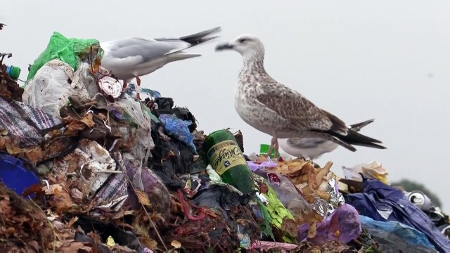 L'Ukraine peine à traiter ses déchets