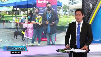¡Atención! inicia campaña "Adoptatón" de gatitos y canes en Surquillo