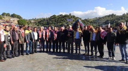 KOÇARLI'DA DEVELER BİR YIL ARADAN SONRA GÜREŞTİ