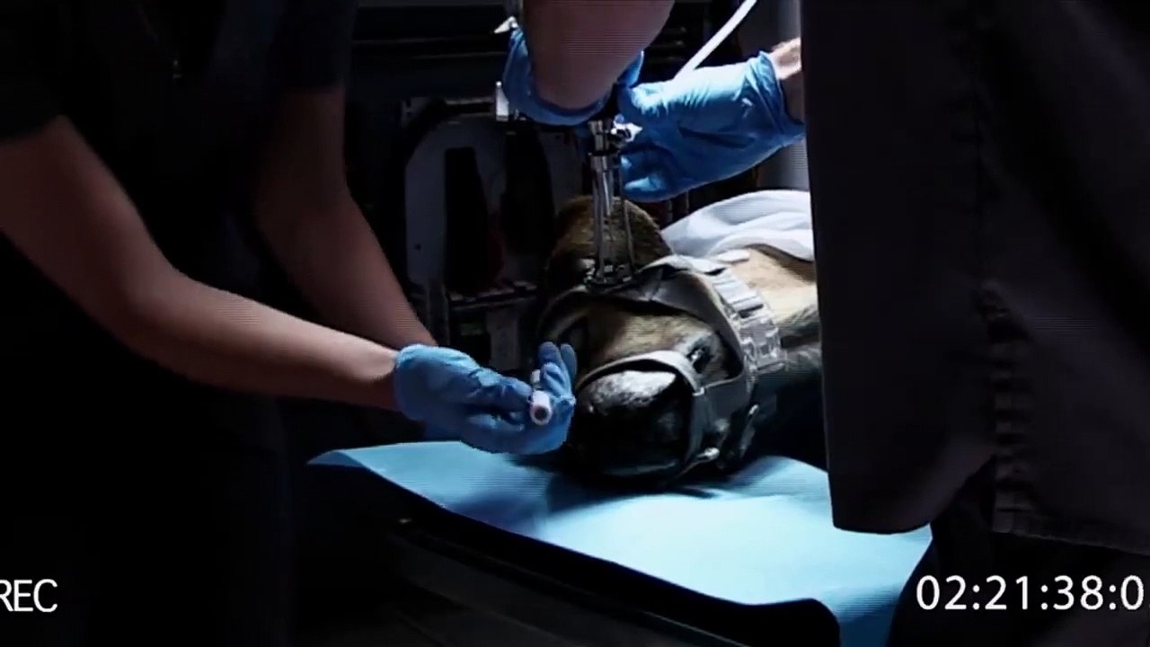 The LAZARUS Effect (2015) Film Explained in Hindi_Urdu Summarized हिन्दी