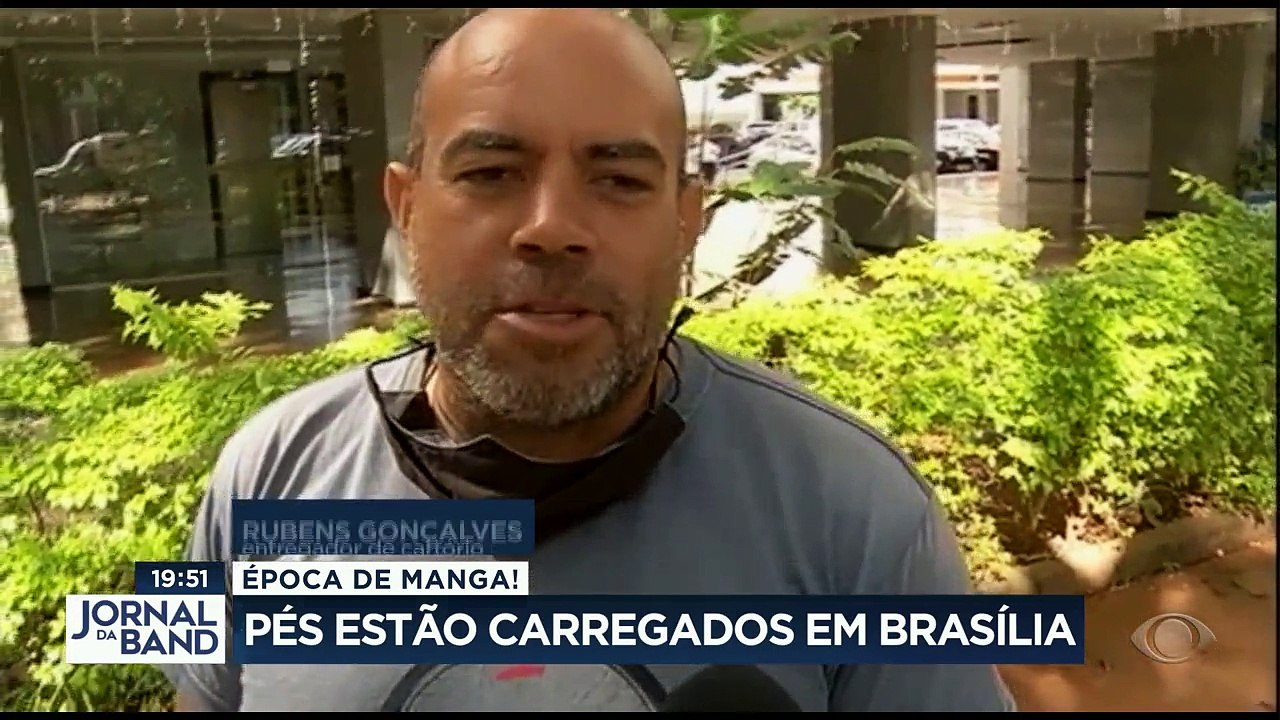 Nesta época do ano, Brasília se transforma: é m...