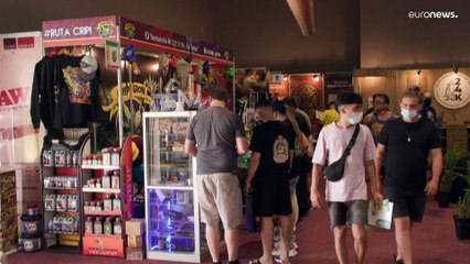 El 'boom' del cannabis en Uruguay: más de 160 pymes y un poderoso gancho para el turismo