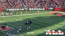 Bengals linebacker Logan Wilson Carted Off Against Chargers