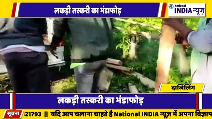 बंगाल के दार्जिलिंग में गुप्त सूचना के आधार पर लकड़ी तस्करी करने वाले भंडाफोड़ को गिरफ्तार किया