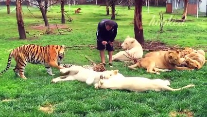 20 HERO ANIMALS THAT SAVED HUMAN LIVES