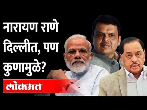 नारायण राणे दिल्लीत कोणामुळे गेले? राणे म्हणाले... Narayan Rane in Delhi