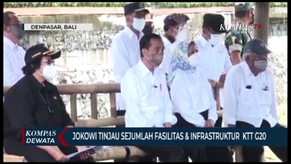 Jelang G20 Presiden Tinjau Hutan Mangrove