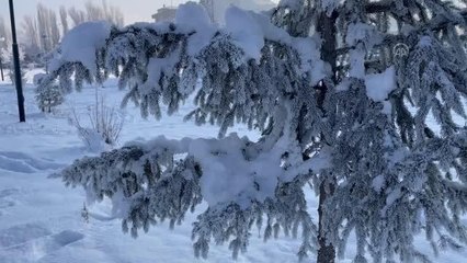 Soğuk hava yaşamı olumsuz etkiliyor