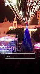 [30초뉴스] 오미크론 속 불밝힌 베들레헴의 성탄 트리