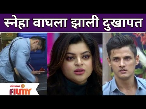 Big boss Marathi 3 Fame Sneha Wagh Met With An Accident | स्नेहा वाघला झाली दुखापत | Lokmat Filmy