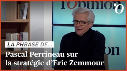 Pascal Perrineau: «Zemmour est enfermé dans le rôle de la victime»