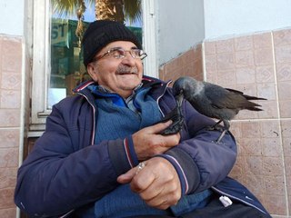 78 YAŞINDAKİ AYAKKABI BOYACISIYLA KARGANIN DOSTLUĞU