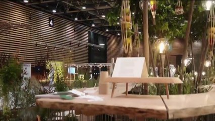 Jardin - Paysagiste : un artiste de la nature