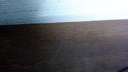 オンリーマイレールガン弾いてみたんご