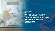 WHO: Belum Ada Laporan Kematian Akibat Varian Omicron | Katadata Indonesia