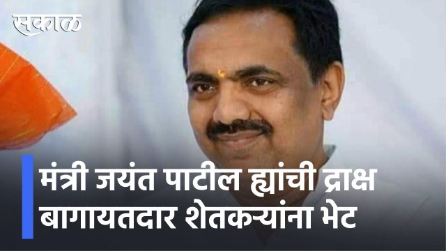 Sangli l मंत्री जयंत पाटील ह्यांनी नुकसान झालेल्या द्राक्ष बागांची पाहणी केली l Jayant Patil l Sakal