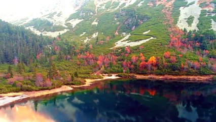 Sembrando Esperanza - La historia de la navidad - Jaime Fernández - 04.12.2021