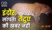 Better be indoor in #Indore after #leopard escapes zoo