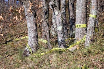 KESİK BAŞ CİNAYETİNDE DNA ÖRNEKLERİYLE İLGİLİ RAPOR BEKLENİYOR